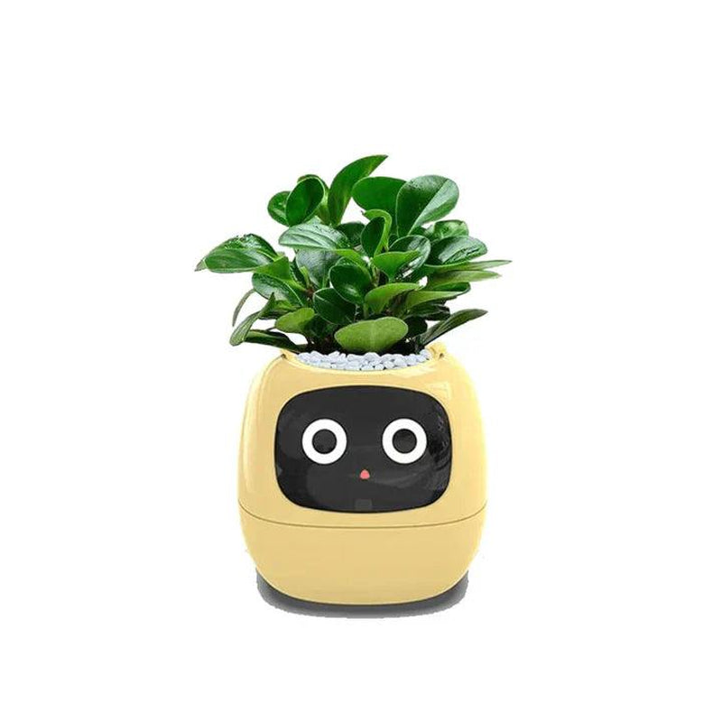 AI Plant Pot