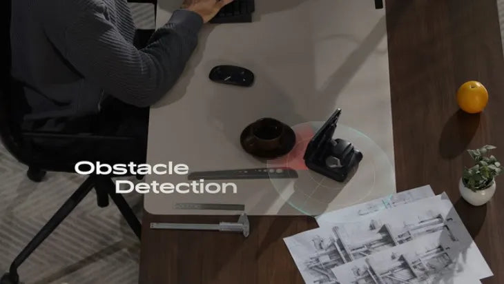 Looi Robot Ai Desktop Intelligent Robot