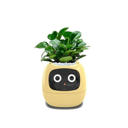 AI Plant Pot