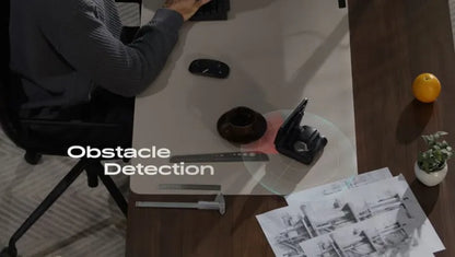 Looi Robot Ai Desktop Intelligent Robot