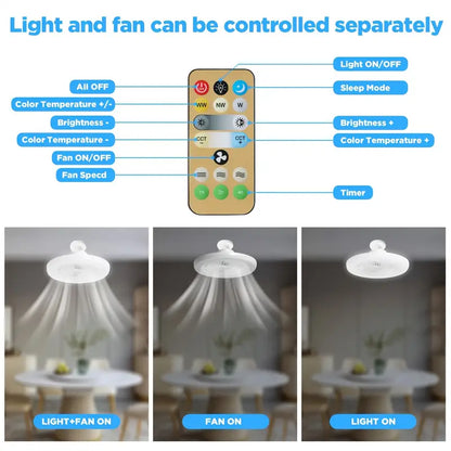 3-in-1 Ceiling Fan with Light